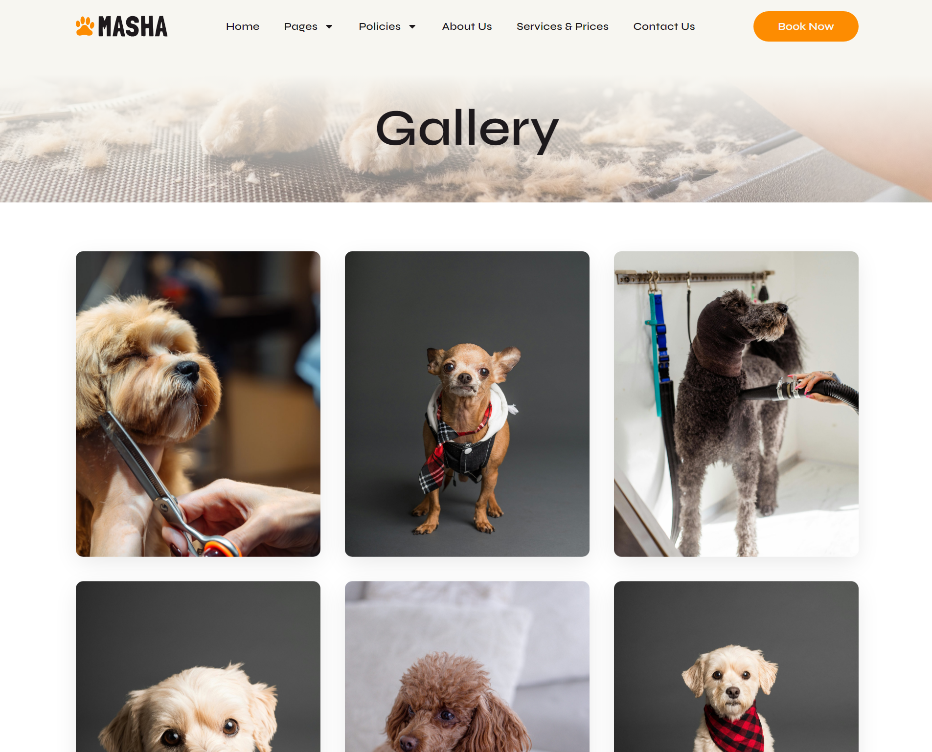 Gallery – Masha
