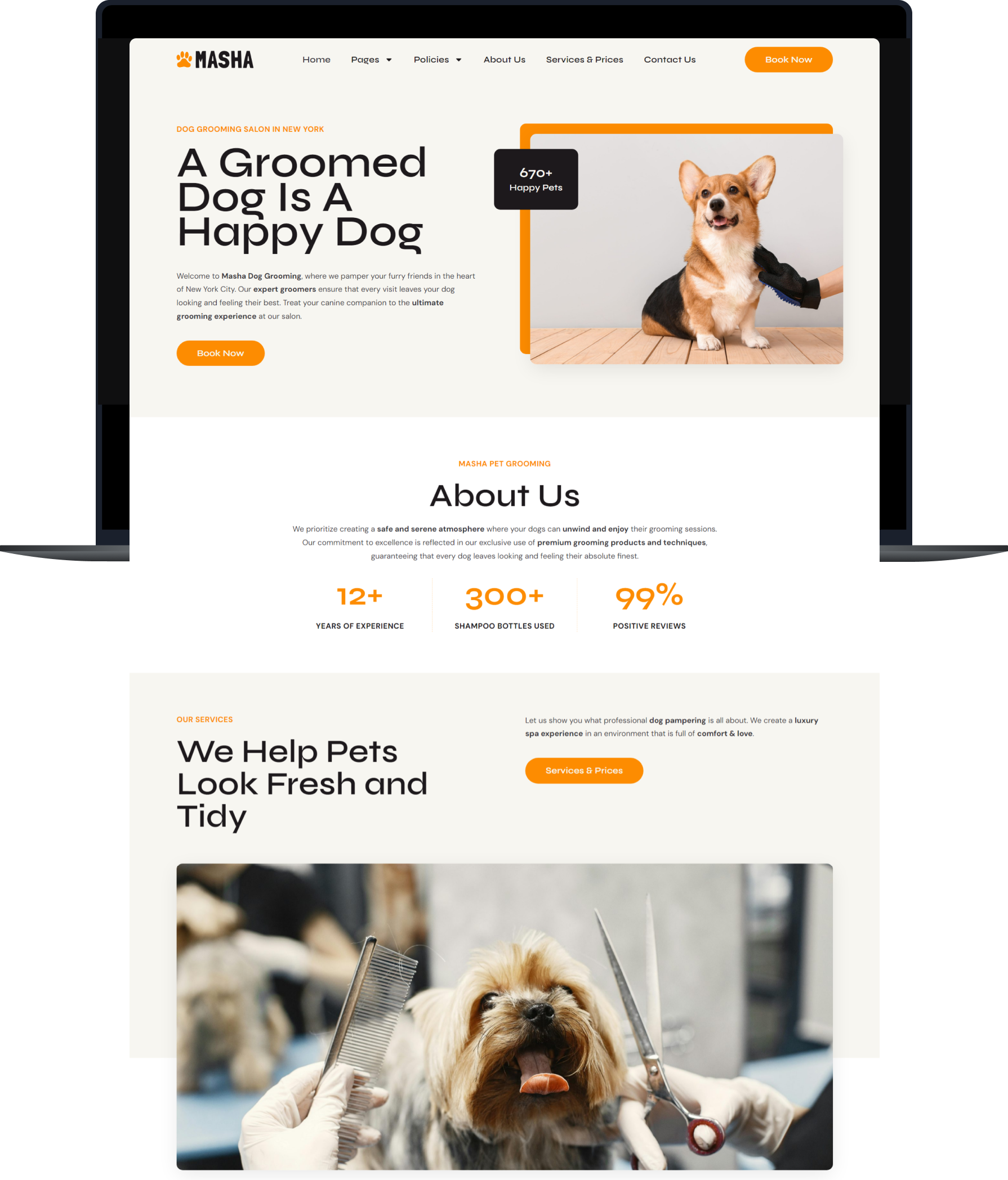 Pet Grooming Website Templates